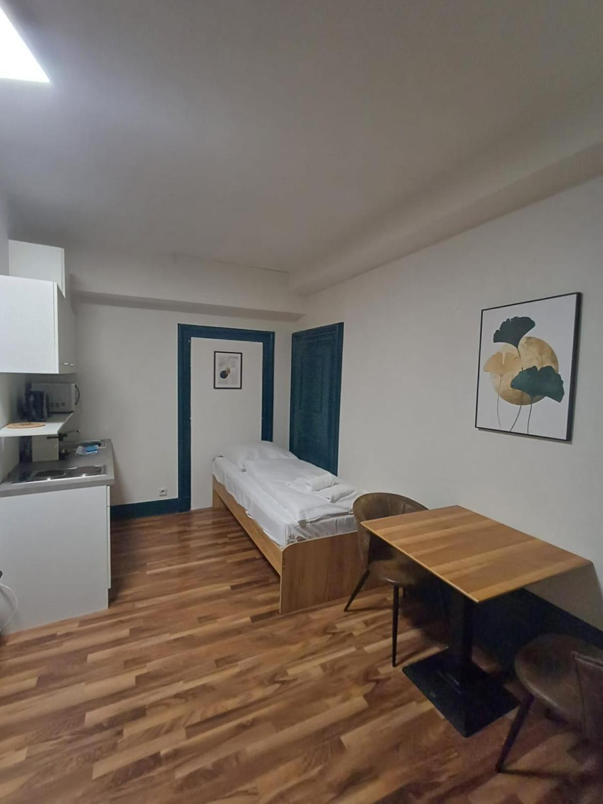 Crown Living Villa Blumenau Studios, Smarttv, Parkplatz Лустенау Экстерьер фото